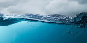 Panel kuchenny wzory Ocean