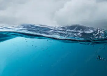 Głęboki Ocean & Podwodny Świat