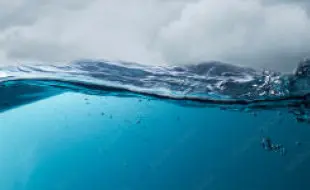 Panel kuchenny wzory Ocean